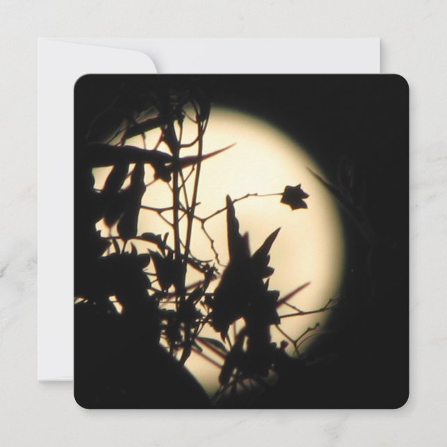 Invitation Love in the Moonlight shimmer (Devant)