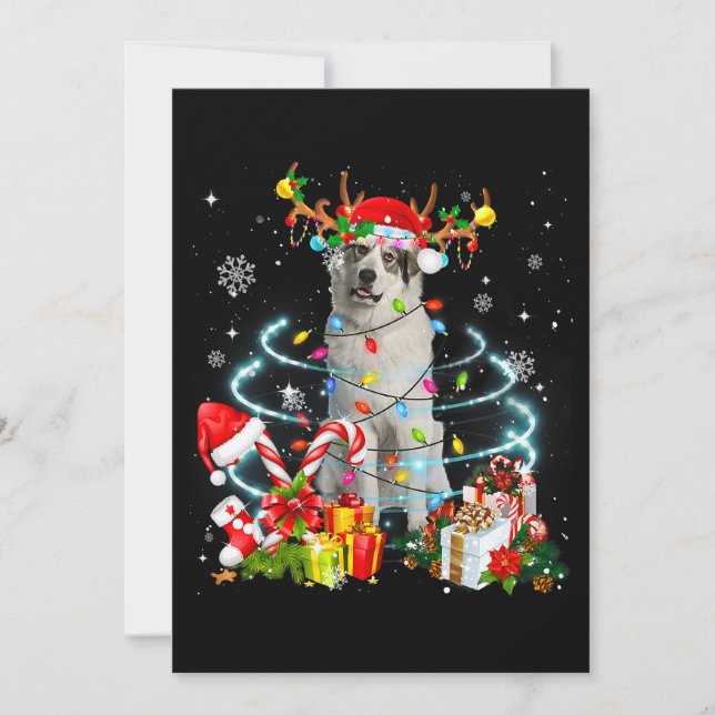 Invitation Lumières des sapins de Noël des Grands Pyrénées Pa (Devant)