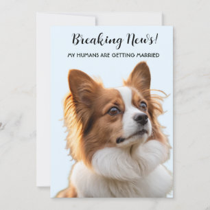 Invitation Ma photo de mariage de chien avec mes humains