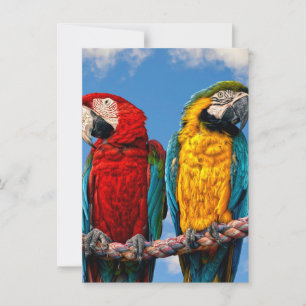 Invitation Macaw bleu et jaune et macaw Scarlet