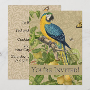 Invitation Macaw Blue Jaune Tropical Jungle Antique
