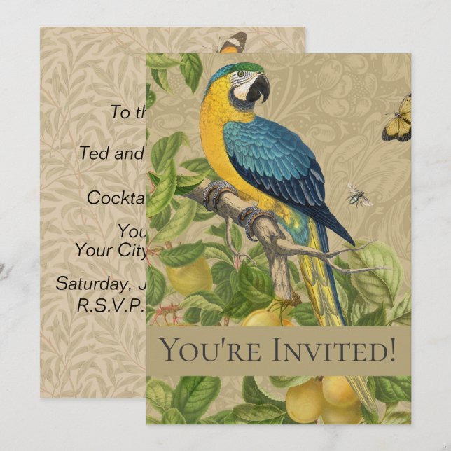 Invitation Macaw Blue Jaune Tropical Jungle Antique (Devant / Derrière)