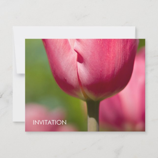 Invitation Macro Tulip rose DSC0852 (Devant)