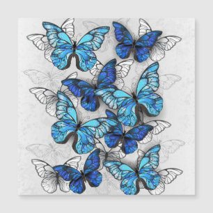 Invitation Magnétique Composition des White and Blue Butterflies