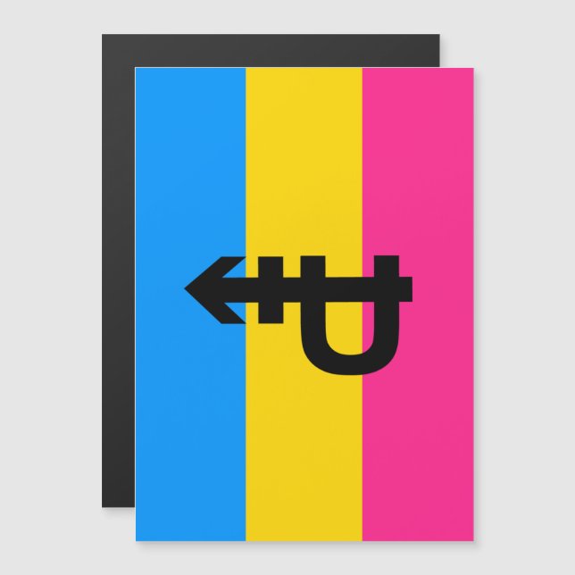 Invitation Magnétique Drapeau de fierté pansexuelle (Devant / Derrière)