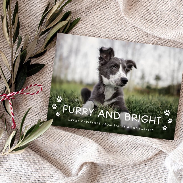 Invitation Magnétique Fer et brillant | Photo de Noël du chien (An adorable Christmas holiday photo card from your dog)