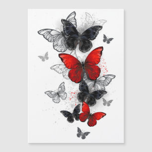 Invitation Magnétique Papillons noirs et rouges volants