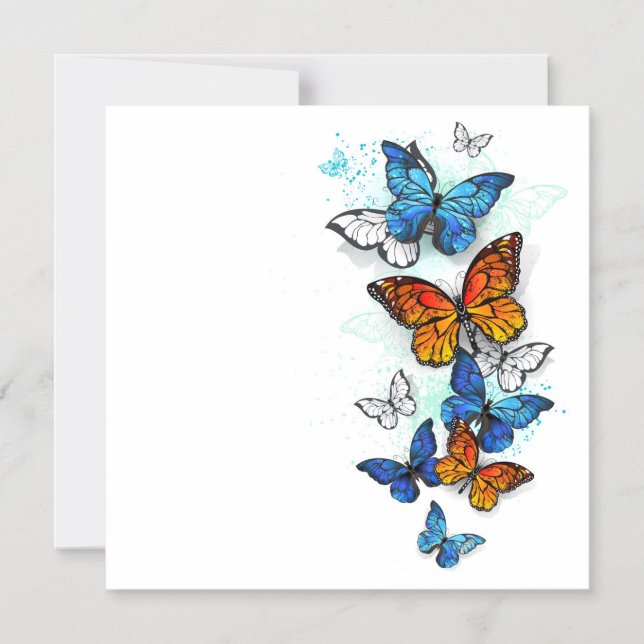Invitation Magnétique Papillons volants Morpho et Monarch (Recto)