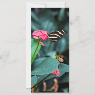 Invitation Magnétique Photographie de papillon sur fleur rose