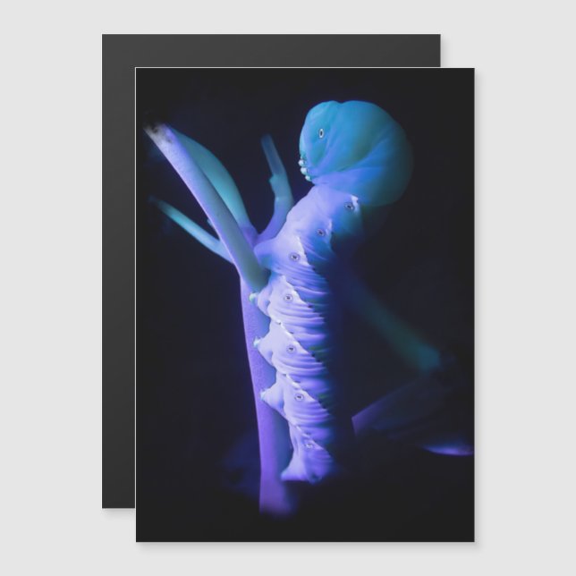 Invitation Magnétique Pilier de la Motte de Sphinx (Devant / Derrière)