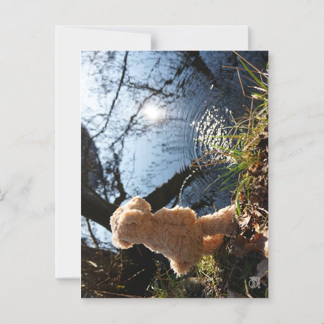 Invitation Magnétique Un ours drôle qui plante de façon déprimante. (Recto)