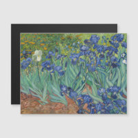 Vincent Van Gogh, Irises, Les Iris