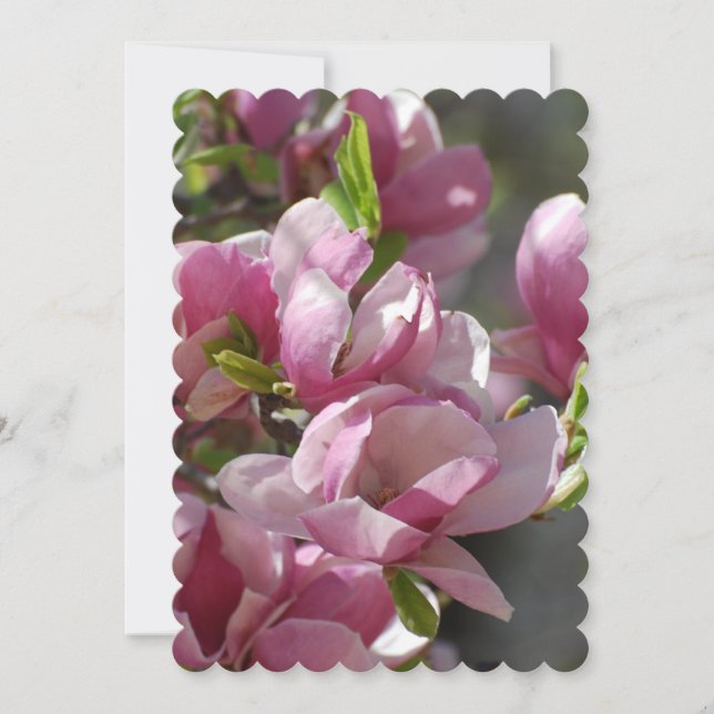 Invitation Magnolia en fleurs (Devant)