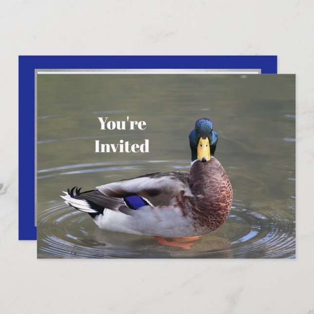 Invitation Mallard Duck Drake Water Photo Anniversaire (Devant / Derrière)