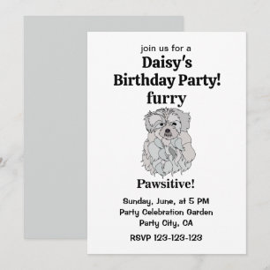 Invitation Maltese Chien Furry Pawsitive Funny Anniversaire