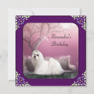 Invitation Maltese & Parc aux Cerisiers en fleurs Cadre Viole