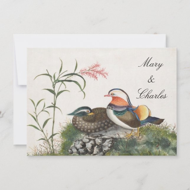 Invitation Mandarin Canard peinture chinoise (Devant)
