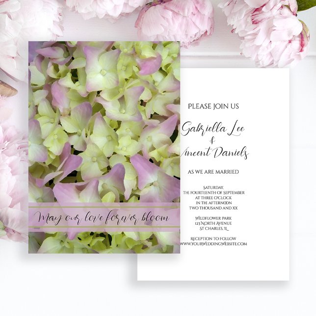 Invitation Mariage de fleurs d'Hydrangée presque roses (Créateur téléchargé)