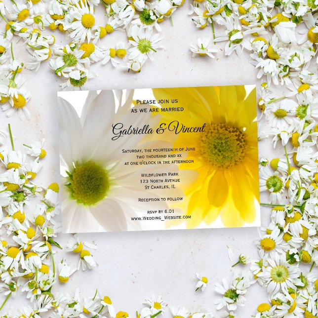 Invitation Mariage de marguerites jaune et blanc (Invite guests to your summery marriage with the pretty Yellow and White Daisies Wedding Invitation.)