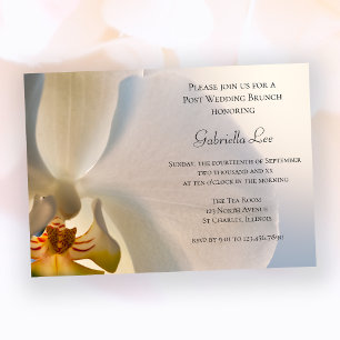 Invitation Mariage de poste de l'orchidée blanche