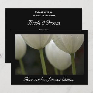 Invitation Mariage de printemps des Tulipes du Jardin Blanc