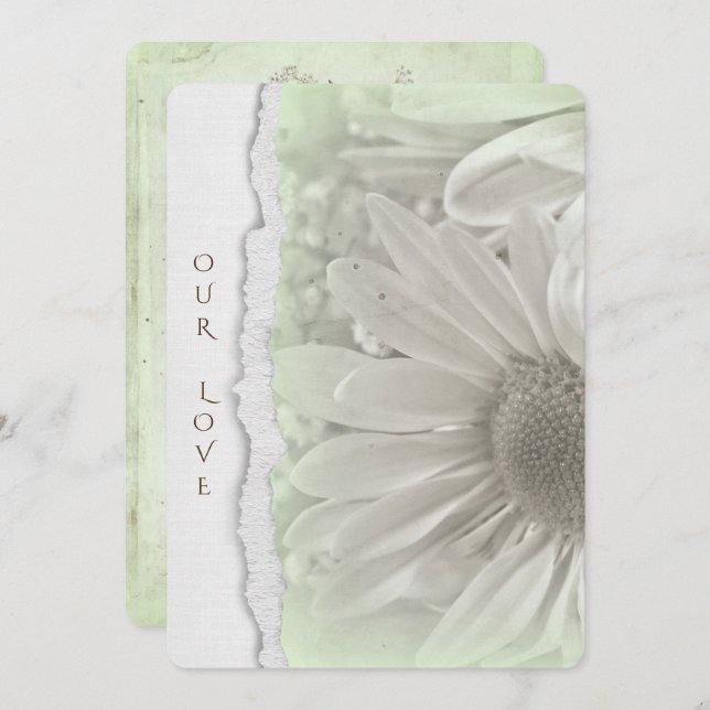 Invitation mariage marguerite en vert doux avec bord de papie (Devant / Derrière)