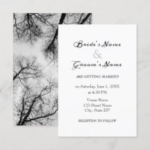Mariage monochrome aux cimes des arbres
