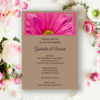 Mariage rose Gerber Daisy