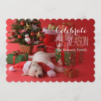 Marionnette d'or et Noël