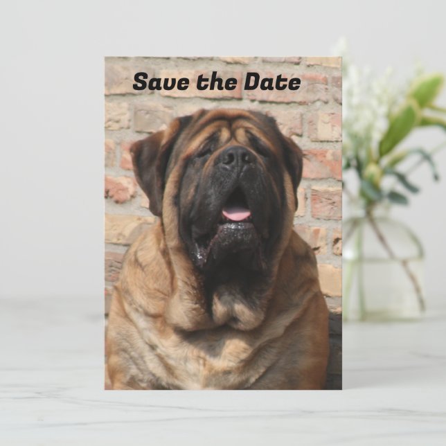 Invitation  Mastiff Dogue anglaise Fête des Pères  (Debout devant)