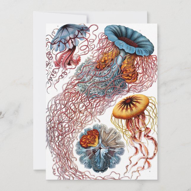 Invitation Méduses vintage par Ernst Haeckel, Discomedusae (Devant)