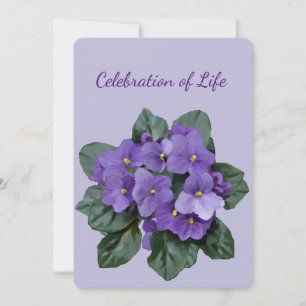 Invitation Memorial Service African Violet Houseplant