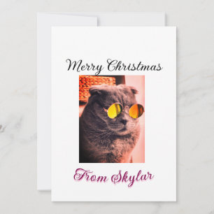 Invitation Merveilleux chien de chat de Noël animal de compag
