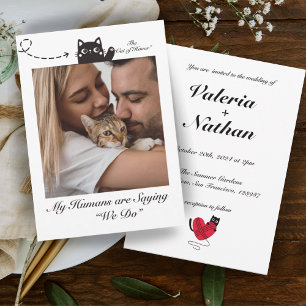 Invitation Mes humains disent que nous faisons de la photo de