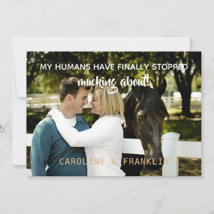 Invitation Mes Humains Ont Cessé De Se Moquer Du Fiançailles