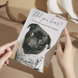 Invitation Mes humains se marient Chien Photo Mariage Décontr