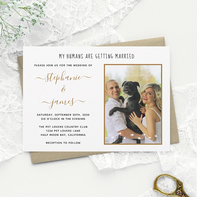 Invitation Mes humains se marient Photo de mariage d'animaux (Créateur téléchargé)
