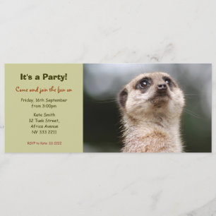 Invitation mignonne de partie de Meerkat