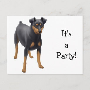 Invitation Miniature Pinscher