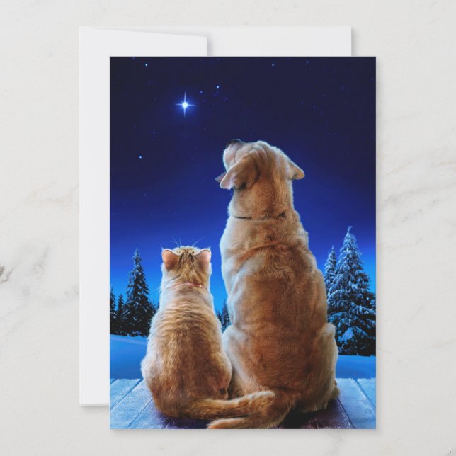 Invitation Miracle de Noël pour chat et chien (Devant)