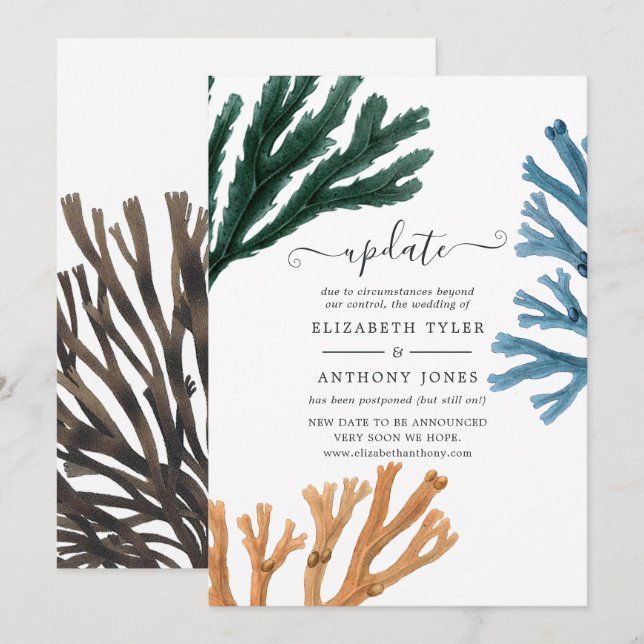 Invitation Mise à jour de mariage sur le thème de la plage d' (Devant / Derrière)