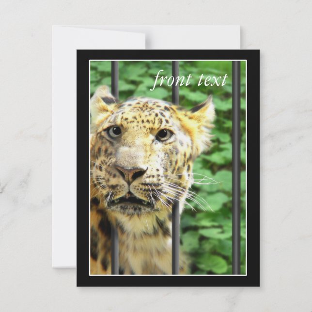 Invitation Mishap au zoo (Devant)