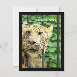 Invitation Mishap au zoo