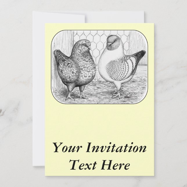 Invitation Modène deux pigeons (Devant)