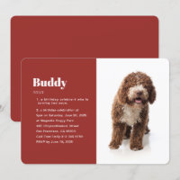 Moderne Funny Photo Animaux de compagnie Anniversa