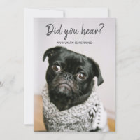 Mon être humain prend sa retraite Chien Photo Part