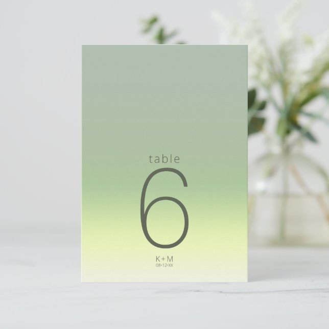 Invitation Mood Gradient Mariage Table Spring Meadow ID741 (Debout devant)