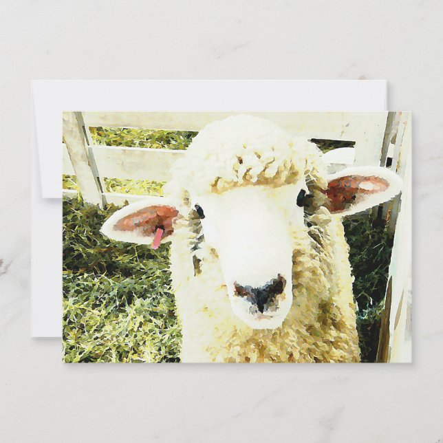 Invitation Moutons pelucheux blancs mignons (Devant)