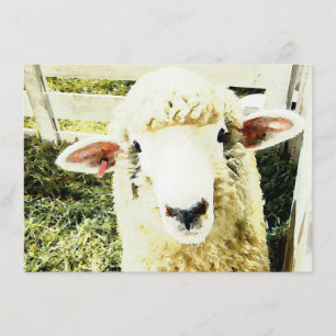 Invitation Moutons pelucheux blancs mignons