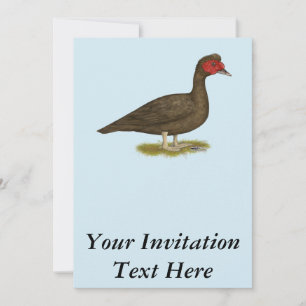 Invitation Muscovy Drake Chocolat